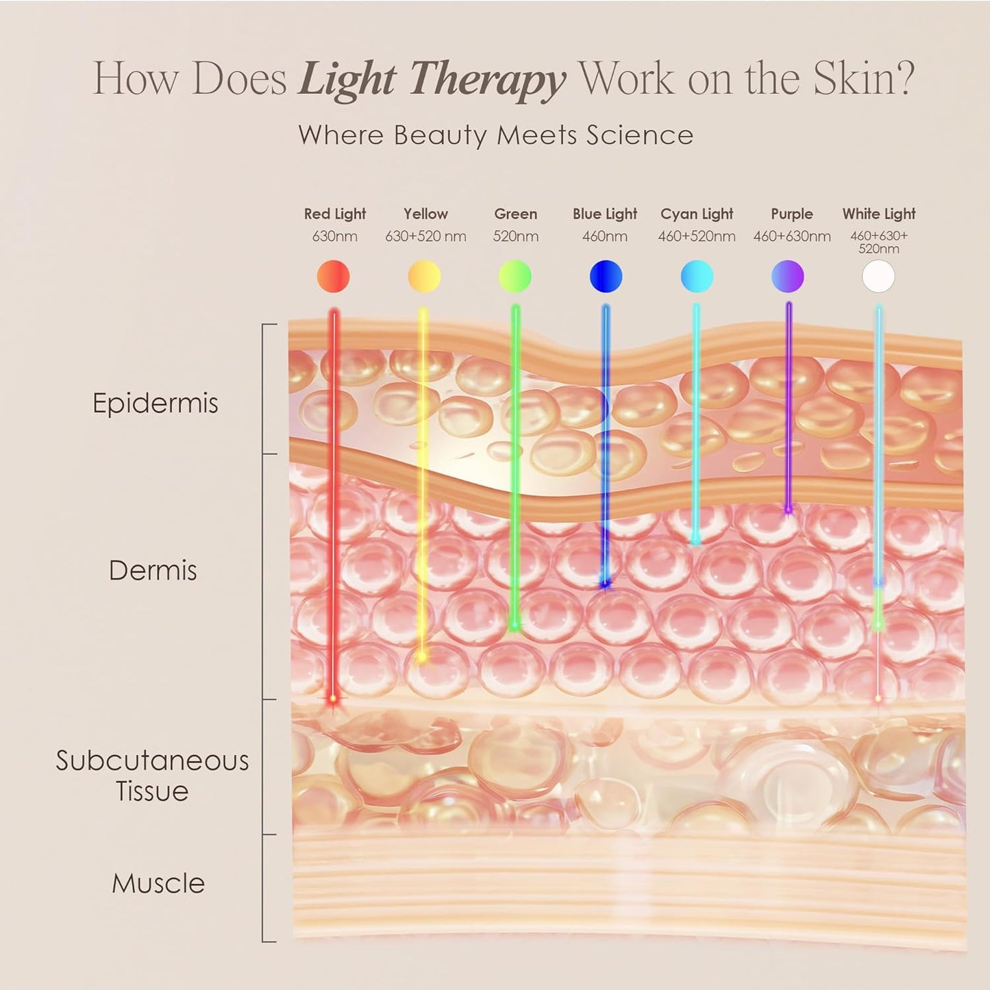 Transform Your Skin with the Skin Rejuvenation Photon Mask | 7-Color LED Light Therapy for Anti-Aging and Radiant Complexion